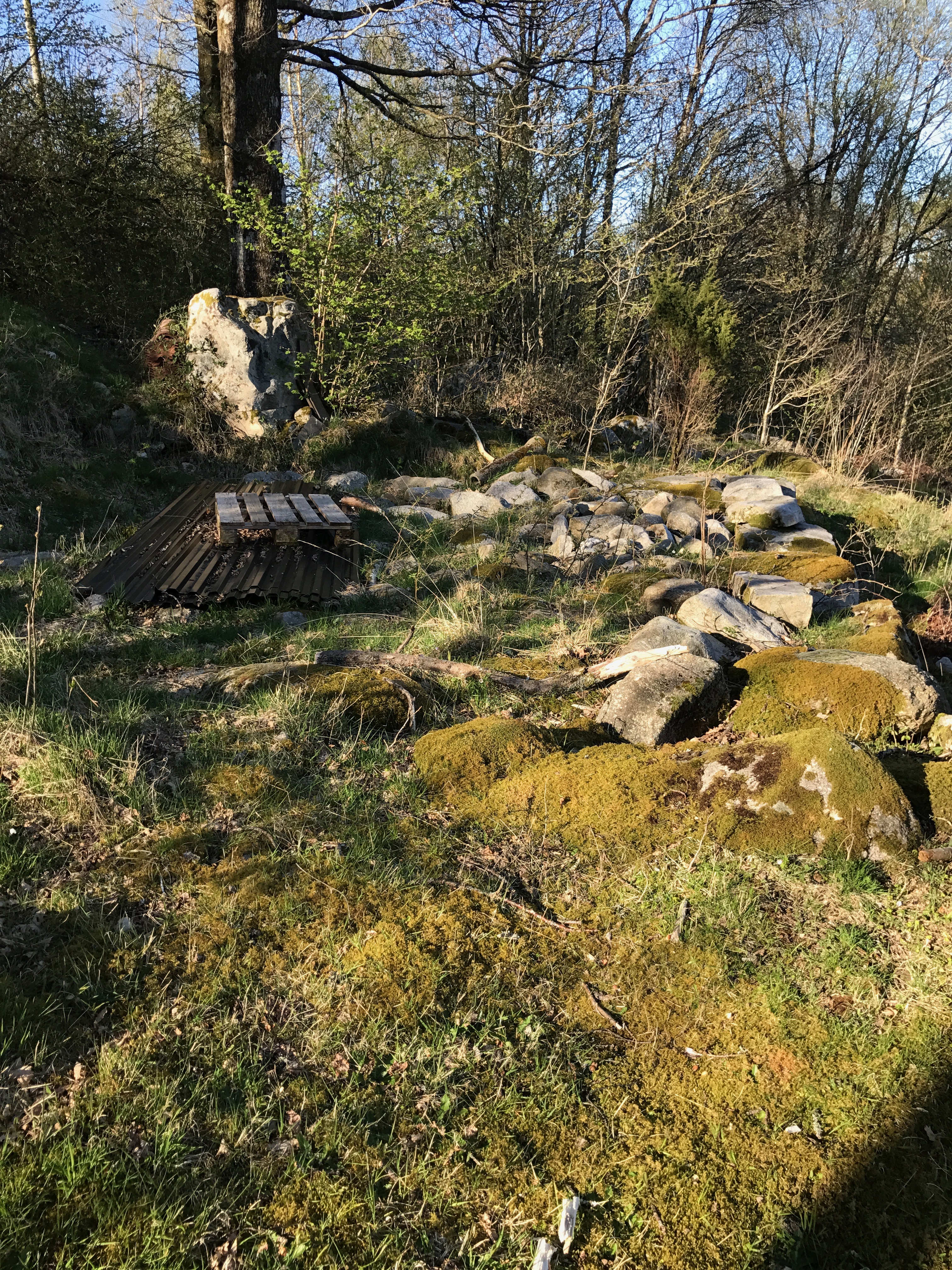 Bilde Blidensol