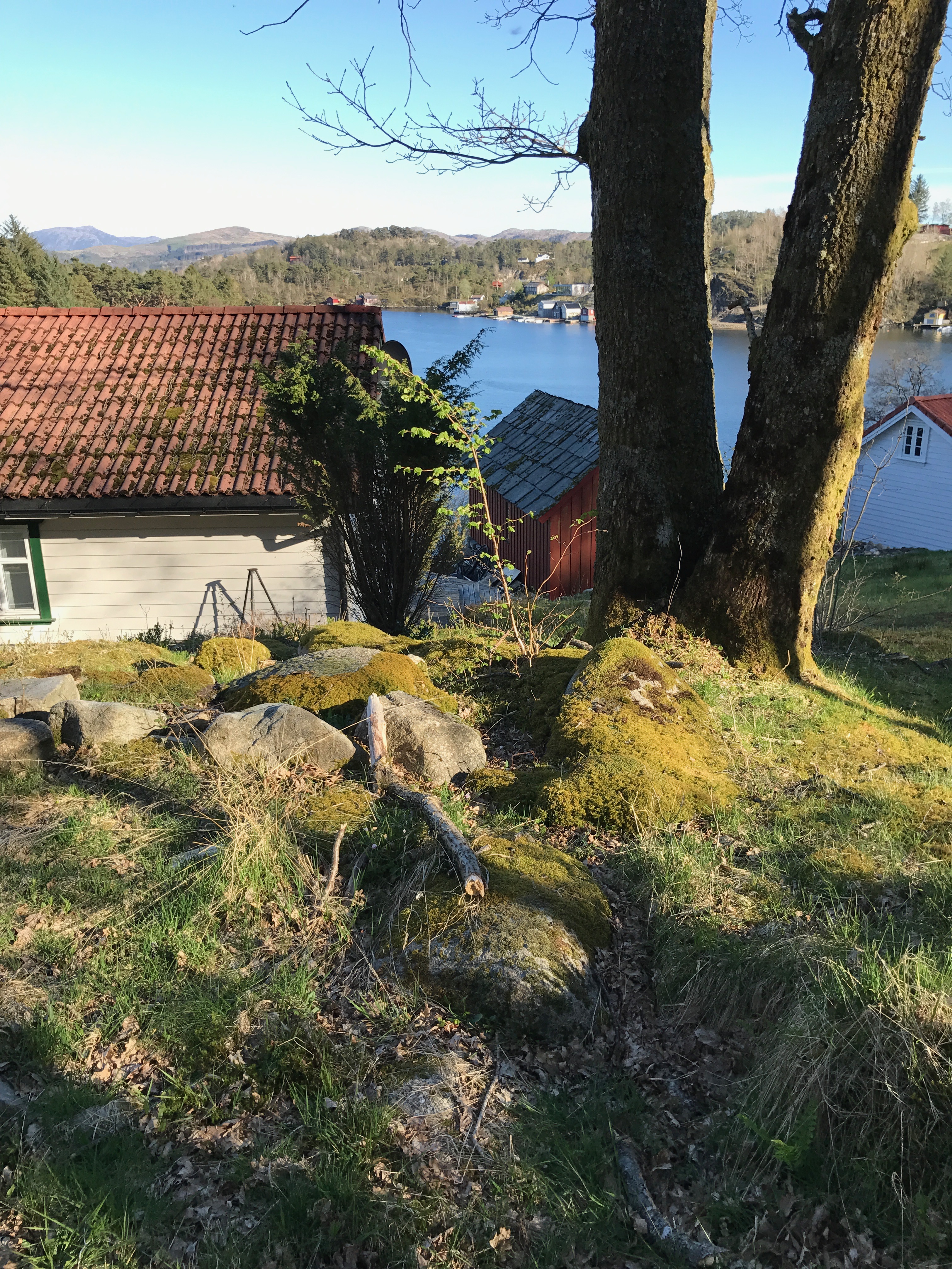 Bilde Blidensol